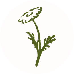 カルチャー・スクール